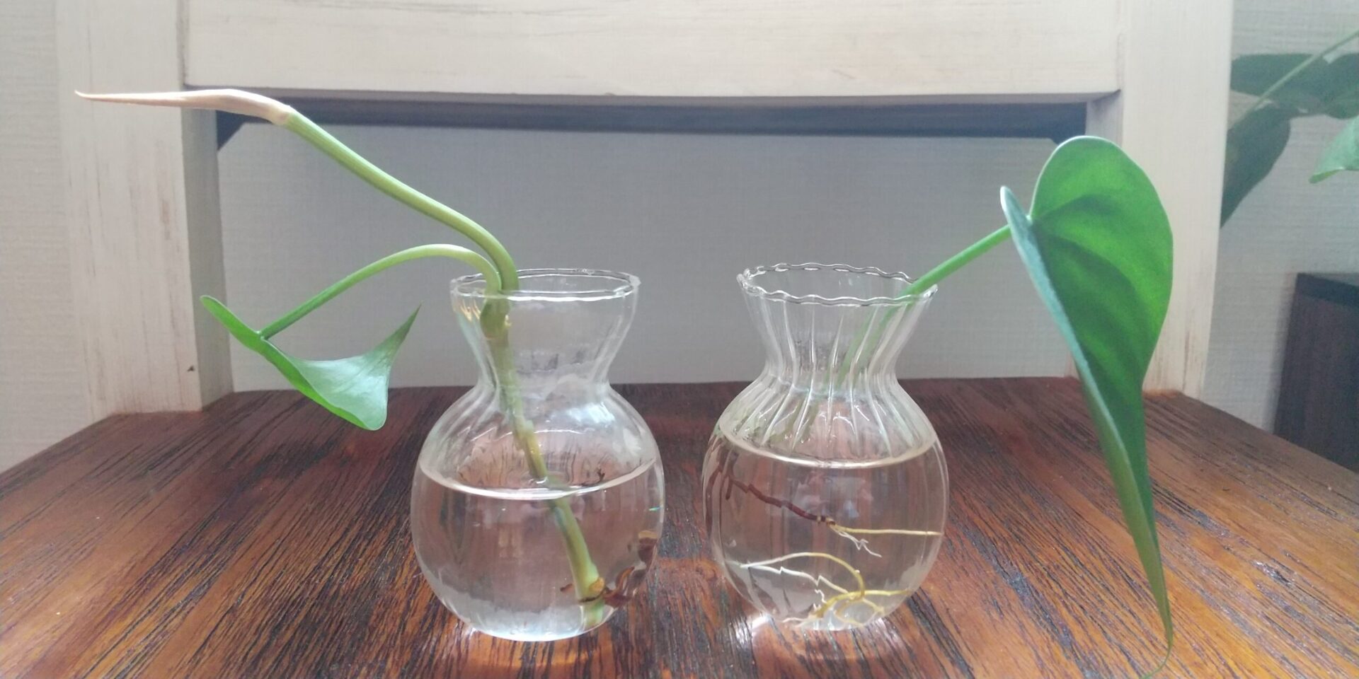 オキシデルムのリーフレット